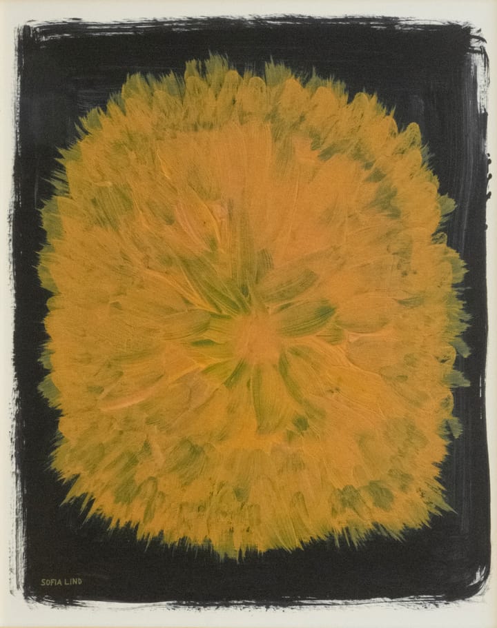 Dandelion plakat 40x50 cm, Gul/Sort Fine Little Day