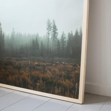 Skog plakat - 70 x 100 cm - Fine Little Day