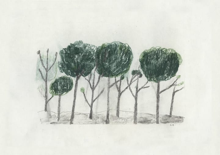 Trees plakat 50x70 cm
, Sort/Offwhite Fine Little Day