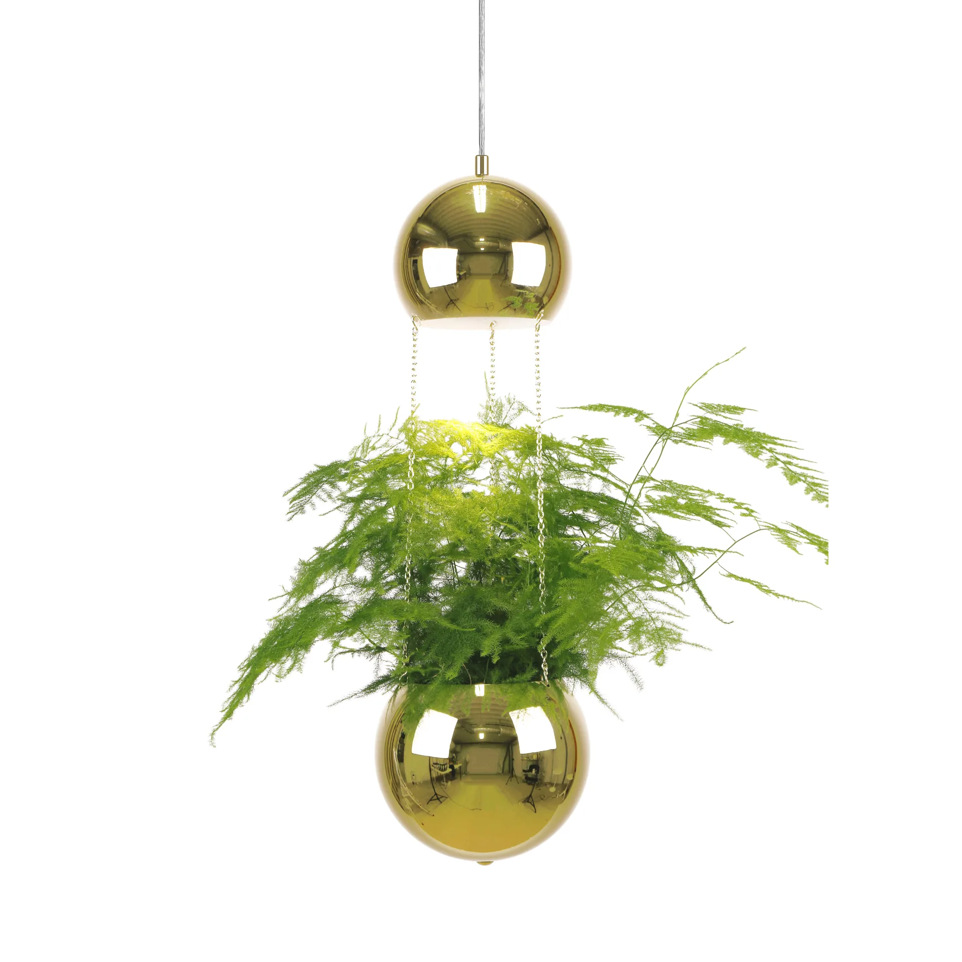 Planter loftlampe og ampel, messing Globen Lighting