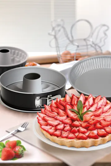 Silver Eligance springform - Stål, inklusive midtkegle, Ø26 cm - Guardini