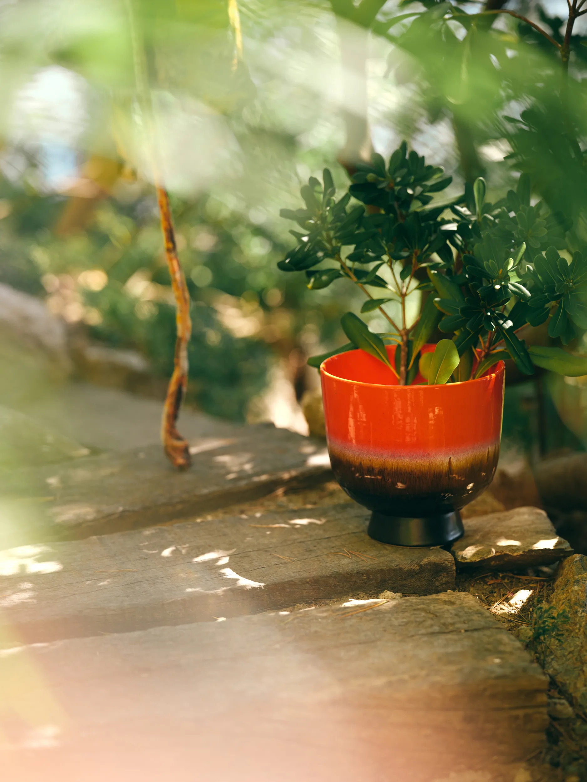 Retro blomsterkrukke Ø20,5 cm, Cherry red HKliving