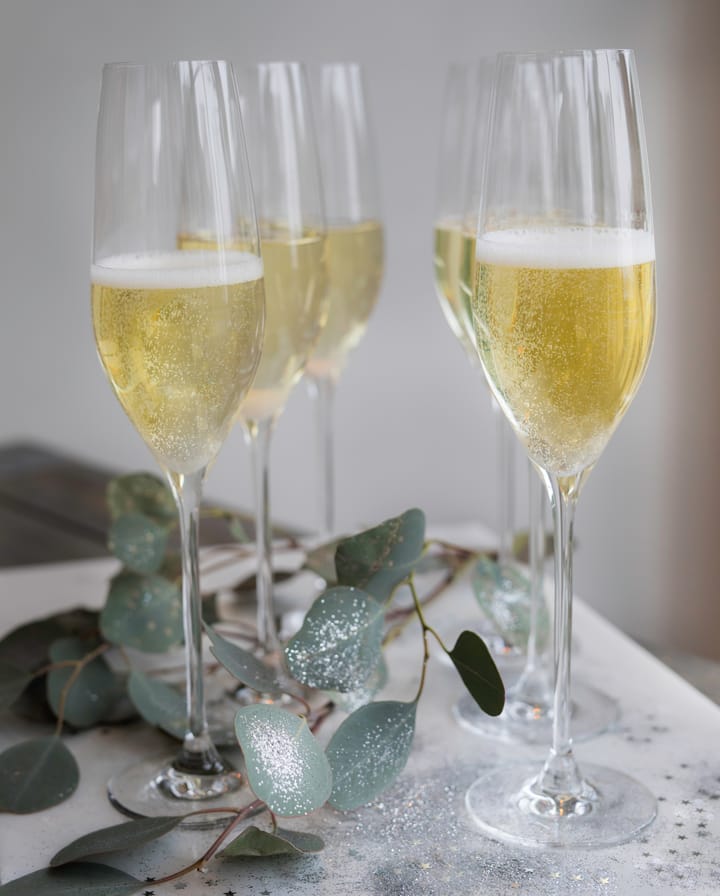 Cabernet champagneglas 29 cl 6-pak, Klar Holmegaard