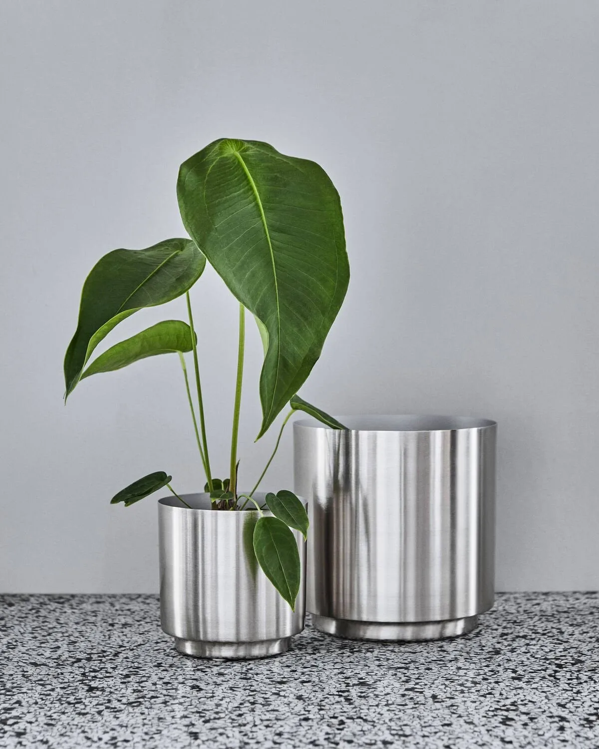 Bailey urtepotte 2 dele, Silver finish House Doctor