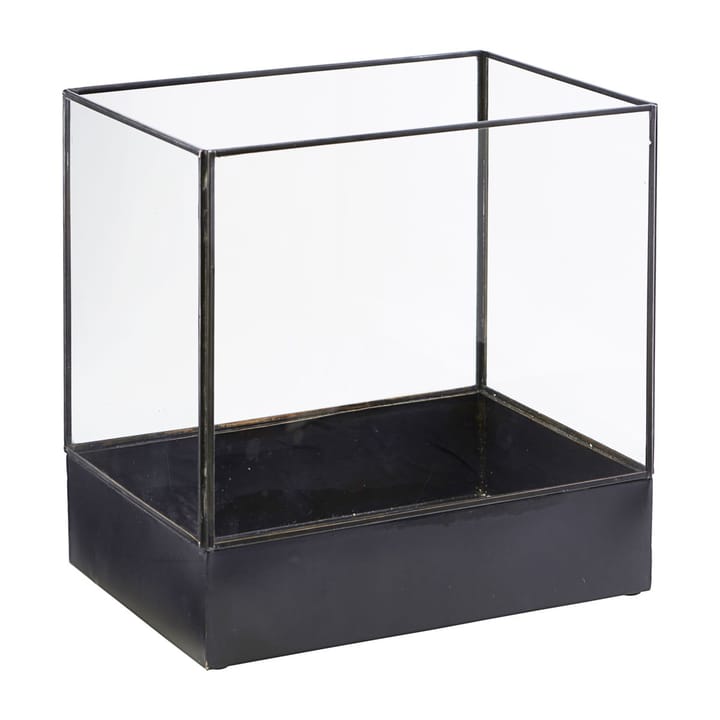 Planteudstillingsboks 21x30 cm, Sort House Doctor