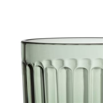 Raami drikkeglas 26 cl 2-pak - Fyrretræsgrøn - Iittala