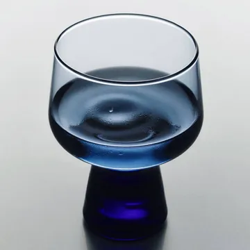 Solare glas på fod 29 cl 2-pak - Regn - Iittala