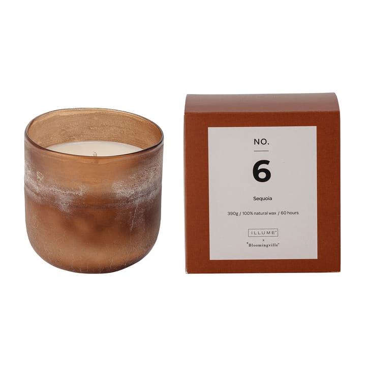 NO. 6 Sequoia duftlys - 390 g + Gaveæske - Illume x Bloomingville