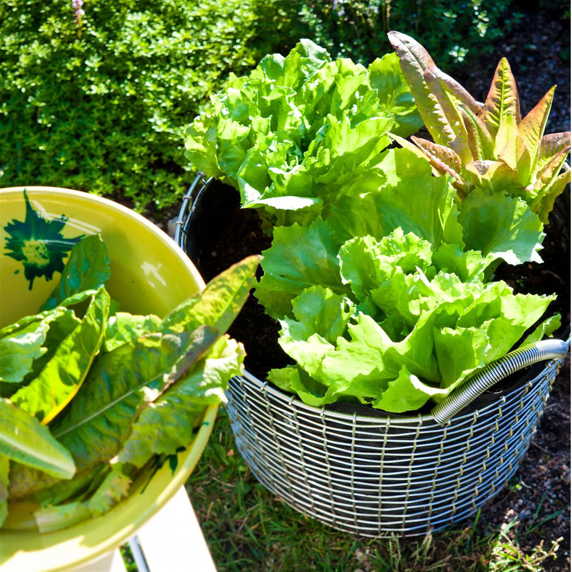 Korbo bin 24 opbevaringskurv, galvaniseret stål KORBO