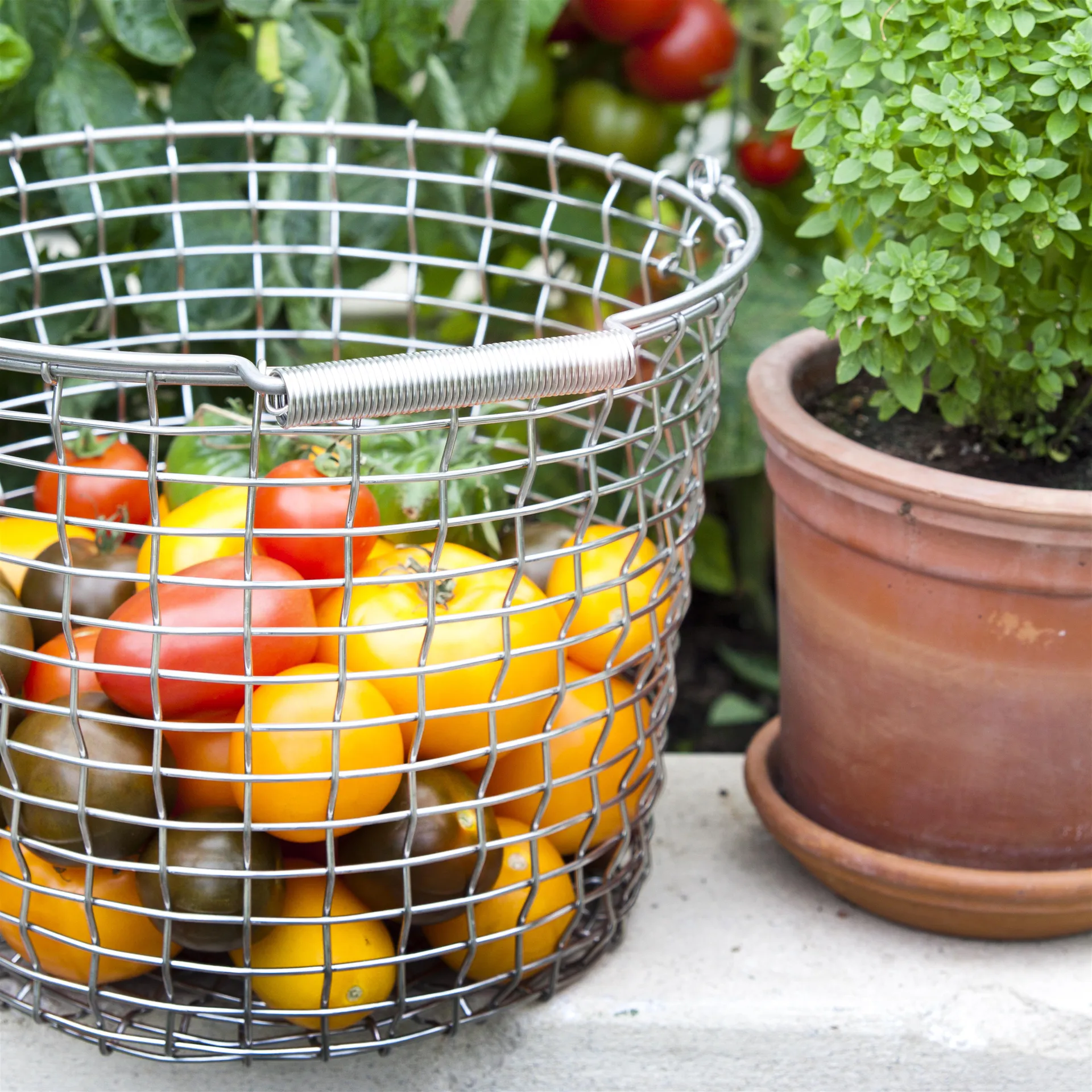 Korbo bucket 16 opbevaringskurv, syrefast stål KORBO