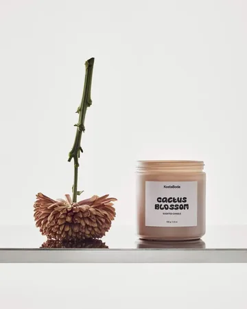 Mind duftlys - Cactus Blossom, 330 g - Kosta Boda