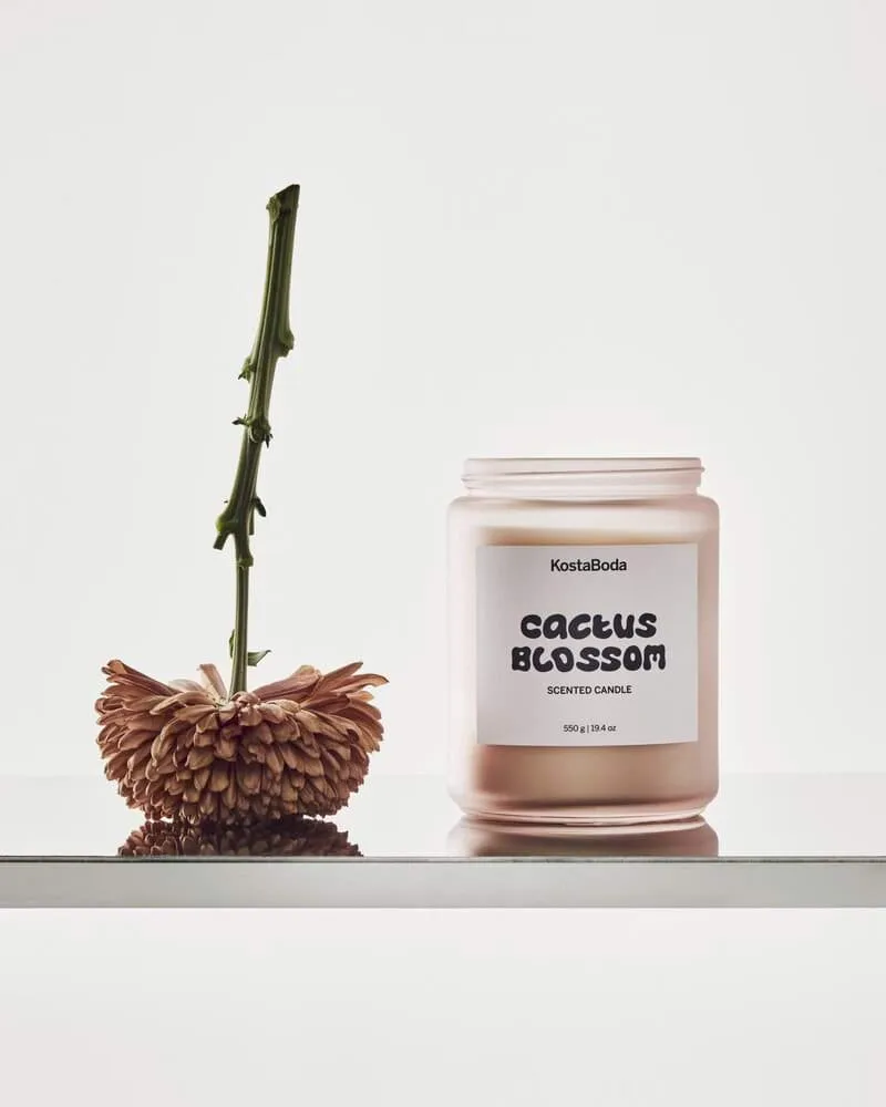 Mind duftlys, Cactus Blossom, 550 g Kosta Boda
