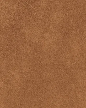 Nupo Curve dækkesæt - Nature, 6-pak, 44x37 cm - LIND DNA