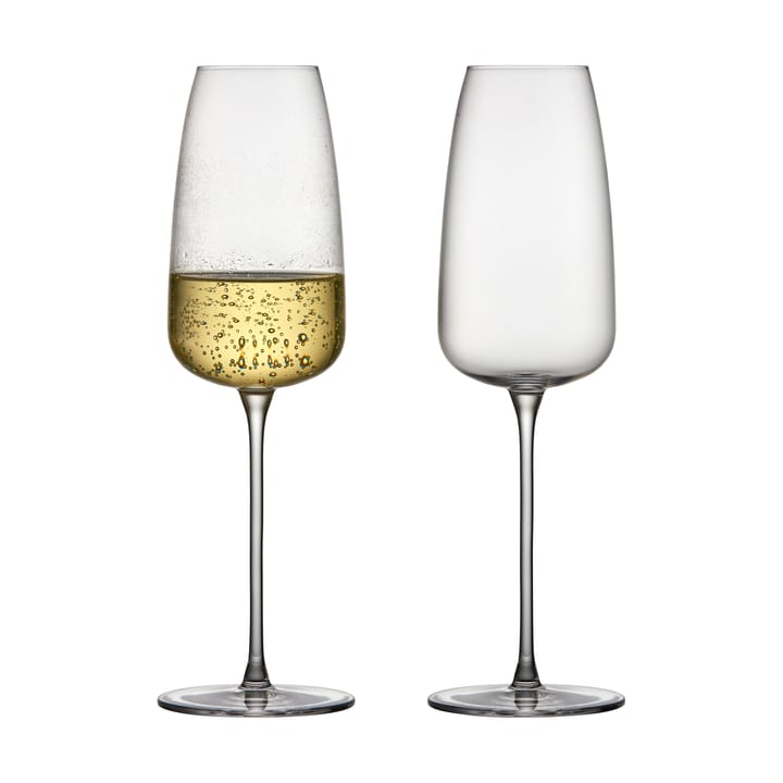 Veneto champagneglas 36 cl 2-pak, Clear Lyngby Glas