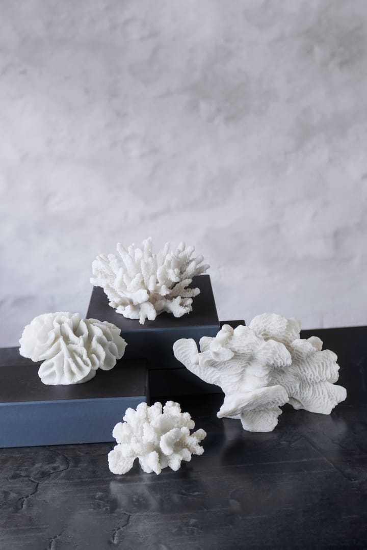 Coral fan, White Mette Ditmer