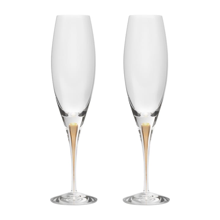 Intermezzo champagneglas 26 cl 2-pak, Guld Orrefors