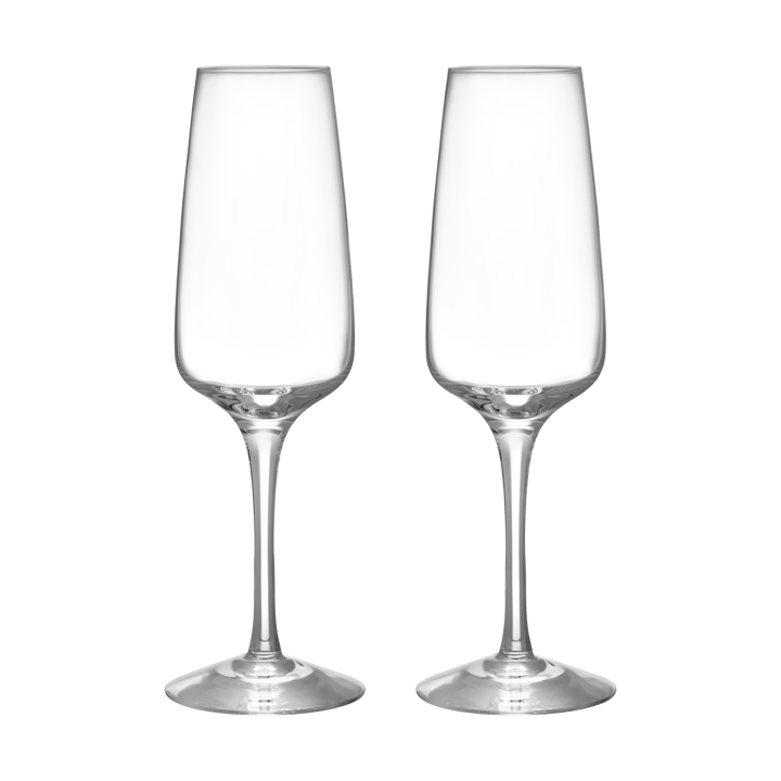 Pulse champagneglas 28 cl 2-pak, Klar Orrefors