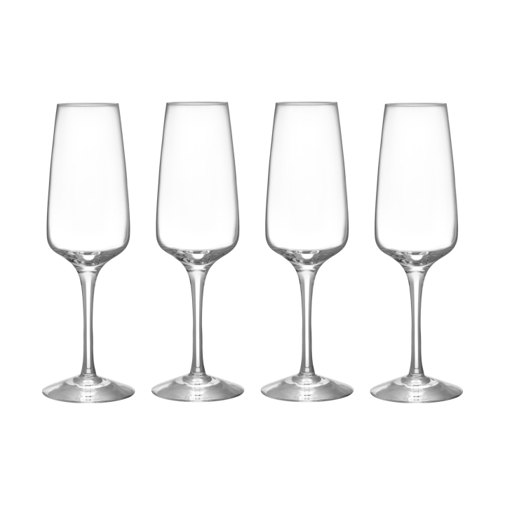 Pulse champagneglas 28 cl 4-pak, Klar Orrefors