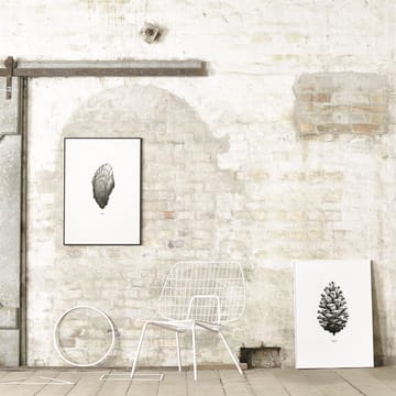 1:1 Pine Cone plakat - hvid, 50 x 70 cm - Paper Collective