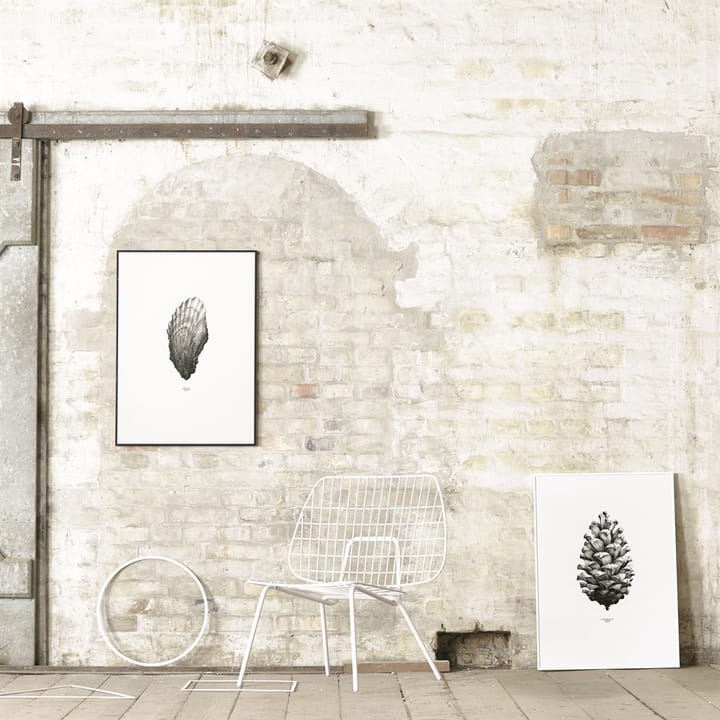 1:1 Pine Cone plakat, hvid, 50 x 70 cm Paper Collective