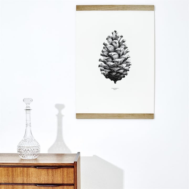 1:1 Pine Cone plakat, hvid, 50 x 70 cm Paper Collective