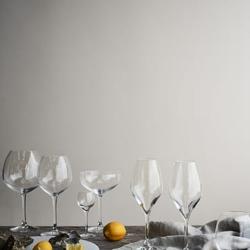 Premium champagneglas 37 cl 2-pak - Klar - Rosendahl