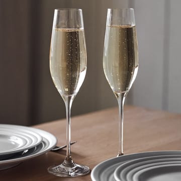 Karlevi champagneglas 4 stk. - 21 cl - Scandi Living