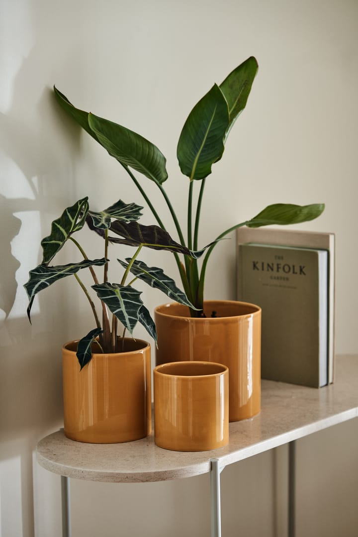 Sleek krukke Ø12 cm, Mustard Scandi Living