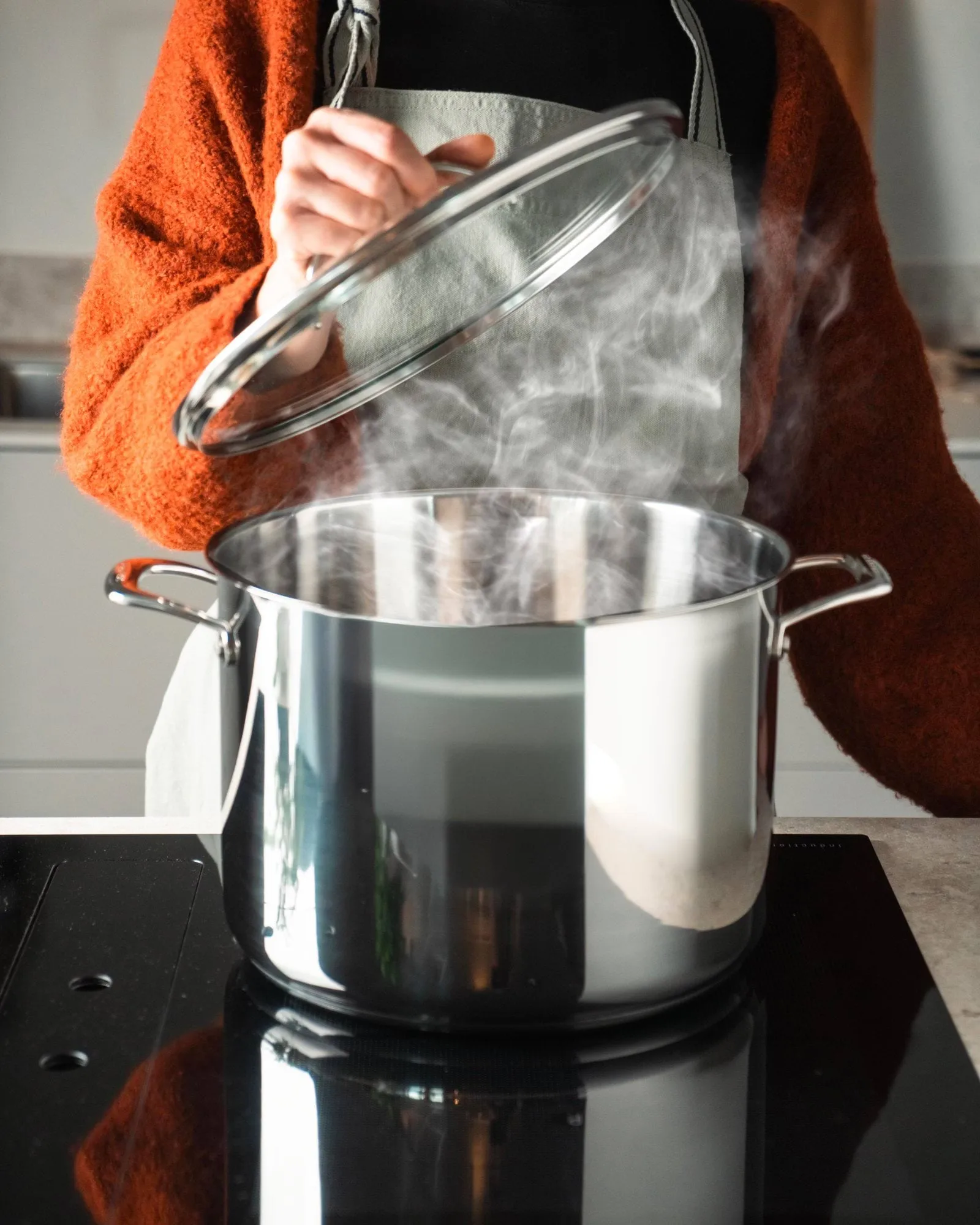 Scanpan STS gryde med låg, Høj, 15 L Scanpan