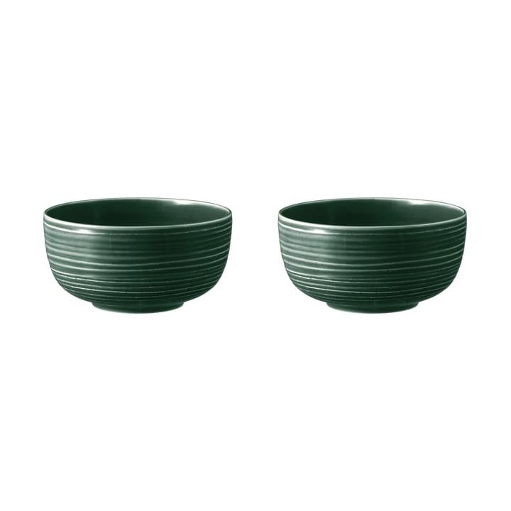 Terra skål Ø17,7 cm 2-pak, Moss Green Seltmann Weiden