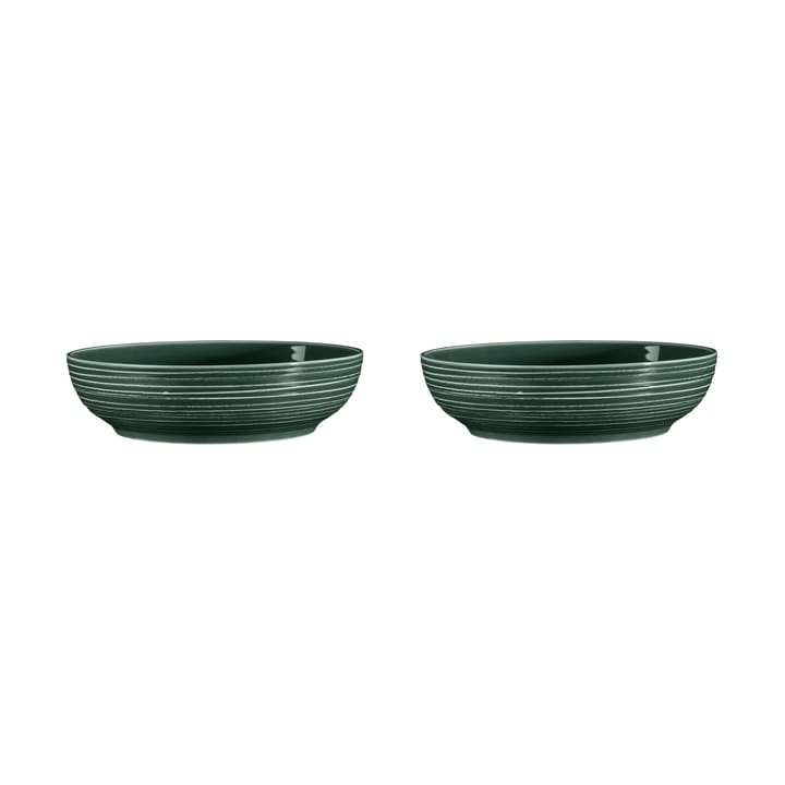 Terra skål Ø25,5 cm 2-pak, Moss Green Seltmann Weiden