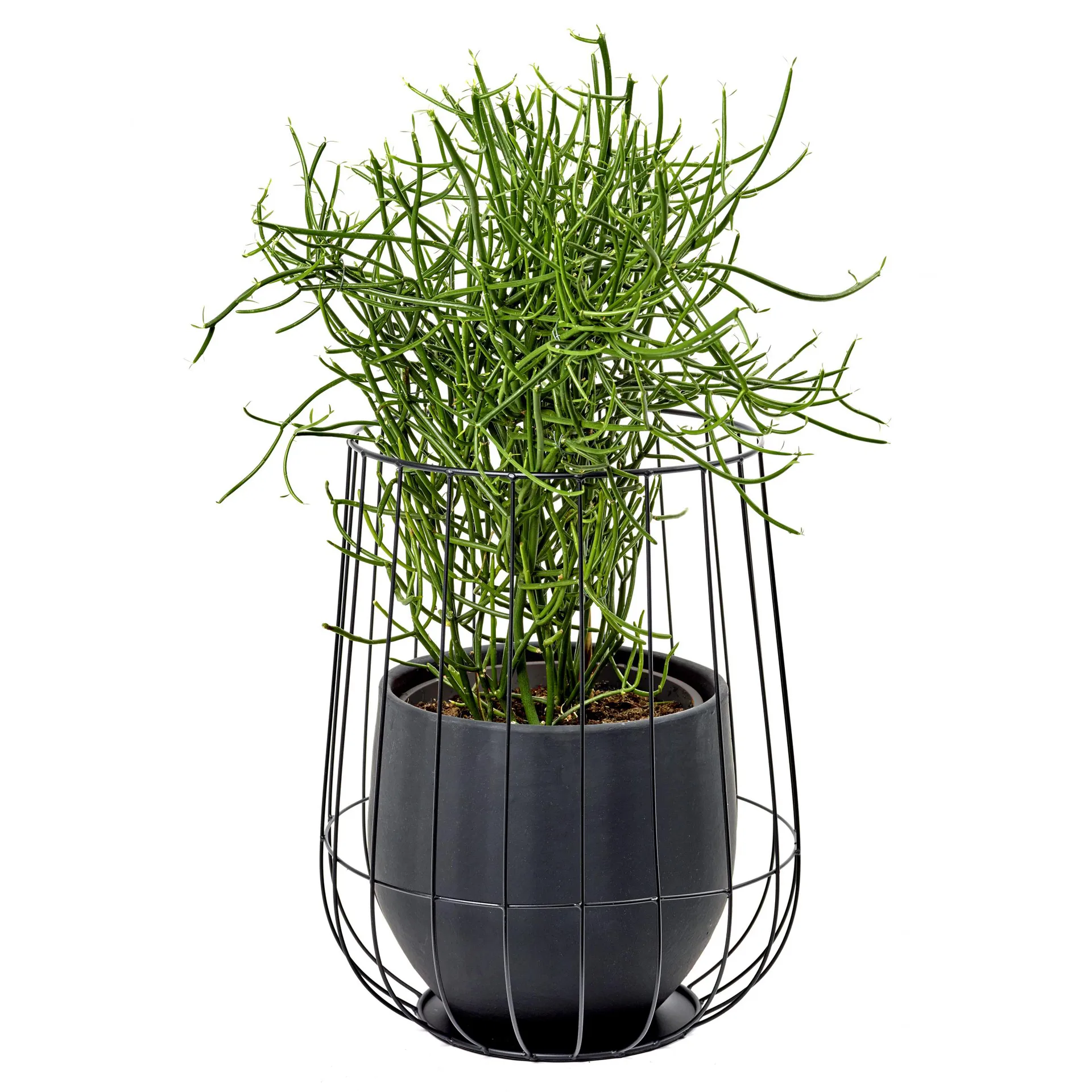 Serax blomsterkrukke i kurv Ø37 cm h46 cm, Black Serax