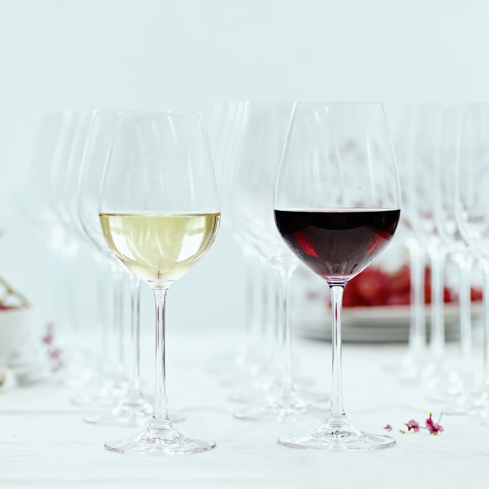 Salute hvidvinsglas – 47 cl – 4 stk., klar Spiegelau