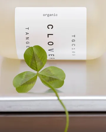 Clover håndsæbe - 350 ml - Tangent