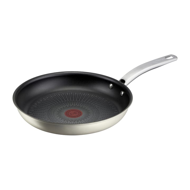 Impact stegepande - Ø24 cm - Tefal