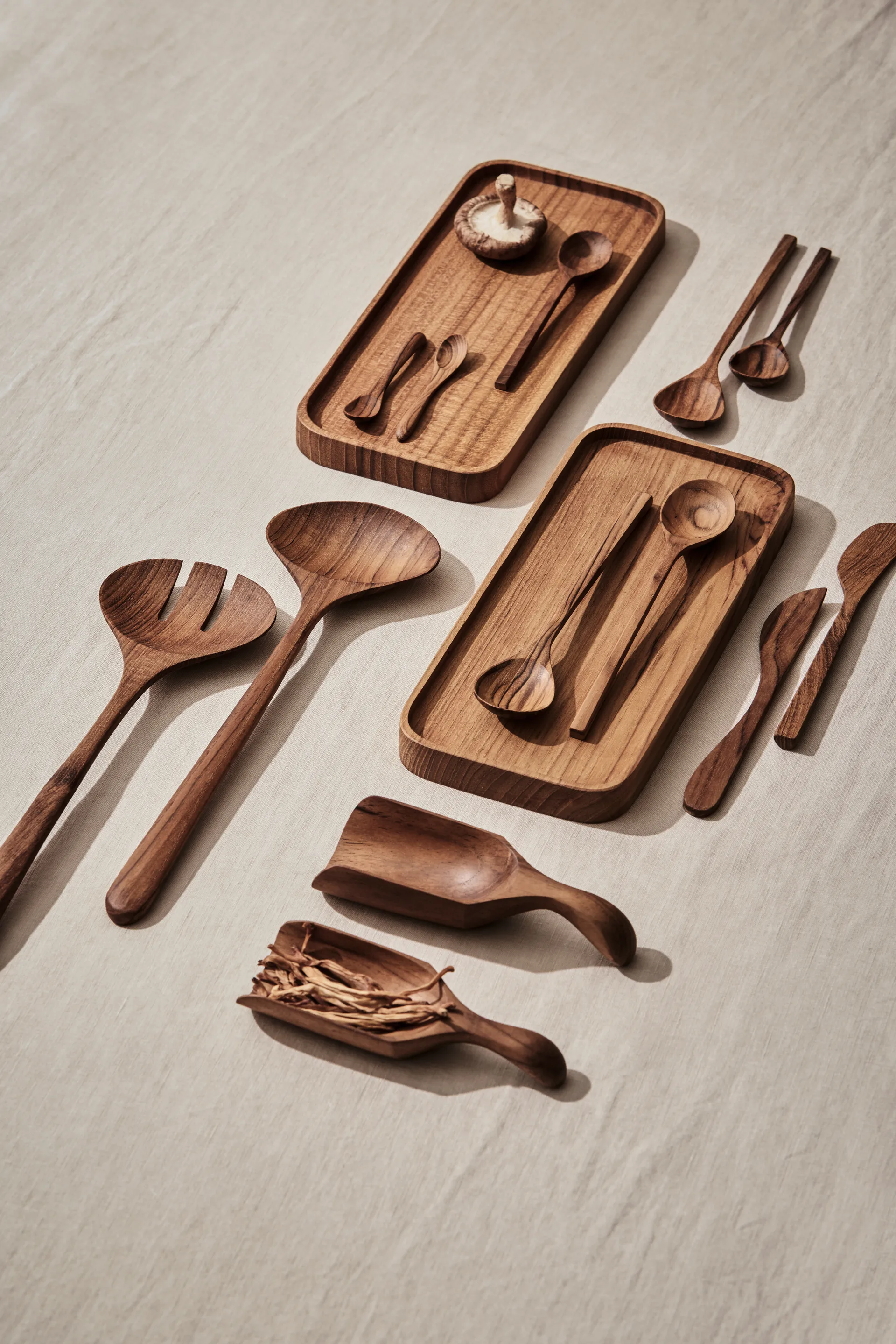 Teak måleske, Brun Tell Me More