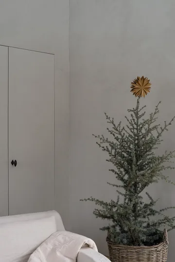 Nova topstjerne Ø20 cm - Guld - Watt & Veke