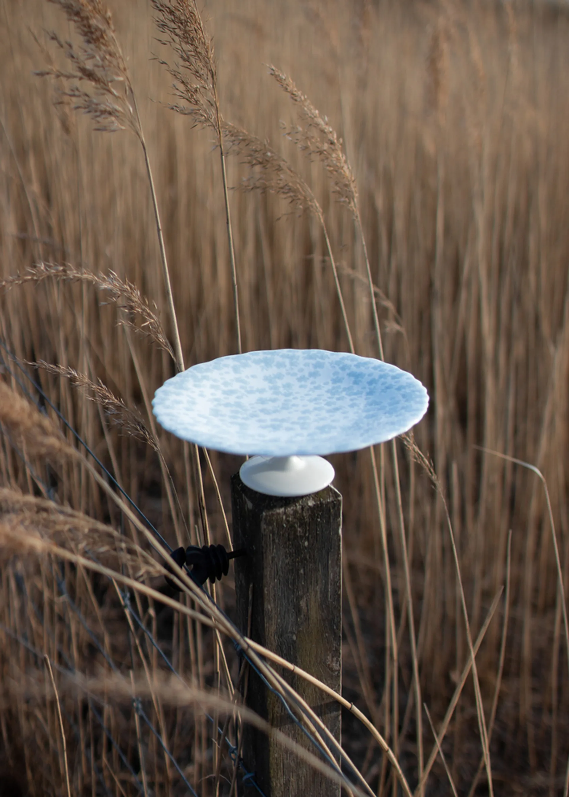 Slåpeblom kagefad Ø21 cm, Blå Wik & Walsøe