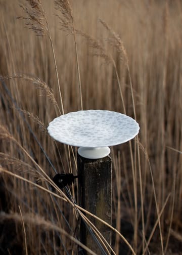 Slåpeblom kagefad Ø21 cm - Grå - Wik & Walsøe